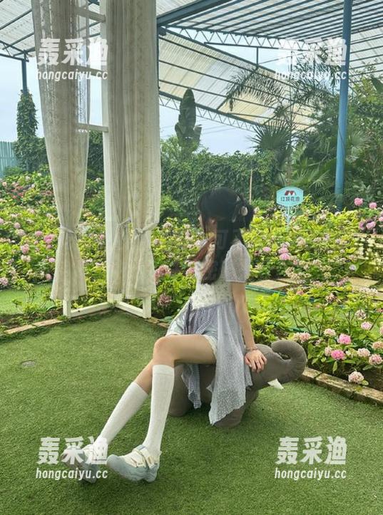 免费的、可不可以随便进91吃瓜中心?你猜密码是什么? 免费的、可不可以随便进91吃瓜中心?你猜密码是什么?