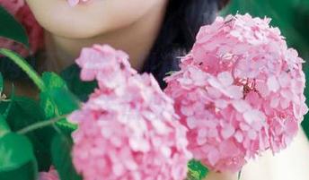 不拼脸只拼料，黑料网入口今日直击热搜状况！